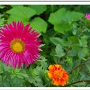 대연수목전시원 이미지