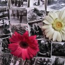 민원서비스 남성우 행정사 사무소 이미지