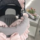 프리미엄캔넬 이미지