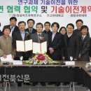 기능명품 이미지