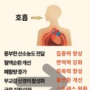페로치아