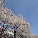 메모아