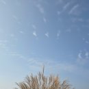 부여(백제)-06 | [25싱글도전#23] 충청 백제cc(25/11/06 13:40)