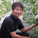 곡성-208 이미지