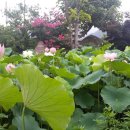 함평 경회루 이미지