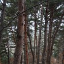 나래쉼터 이미지