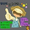 개 최고 이미지