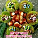 9월 23일(월) 문경에서 이틀째이자 마지막날 보내고 상경 이미지