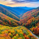 초인모텔 | 내장산 단풍 여행 경비 절약 팁! 2025년 알뜰하게 즐기는 방법