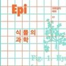 에피(Epi)