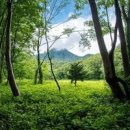 울릉도 성인봉 등산코스, 울릉도 나리분지에서 정상 이미지