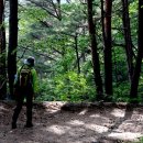 자연치유생태마을(대티골) Daum카페