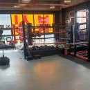 용인대SH복싱 이미지