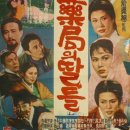 신통한약국 이미지