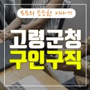고령군청 티스토리