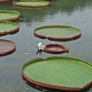 국민육회 이미지