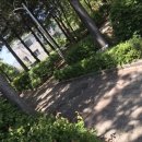 까치울역 4번출구 이미지