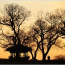 웅포관광지 이미지