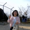 송티로 이미지