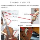 콘트라베이스 이미지