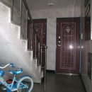 성남양지초등학교 이미지