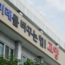 I'm 이미지