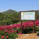 동양허브한의원 네이버블로그