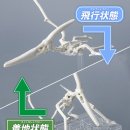 프테라노돈 | [반다이] 프라노사우루스 - 07 프테라노돈 &lt;제품소개 정보&gt;