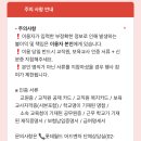 미스터로티 - 원주시 | [서울 잠실] 12월 교직원 할인으로 다녀온 롯데월드 후기