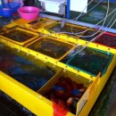 자매횟집 이미지