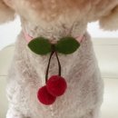 사랑옵개 이미지