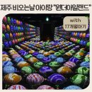 안덕면 드럼 | 제주 비오는날 아이랑 원더아일랜드 신화월드 숙박할인