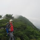 용강수정 이미지