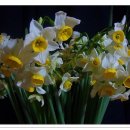 그림이있는 풍경 이미지