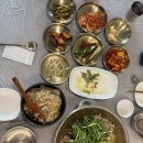 대표주자 | 보양식 대표주자 오리탕 후기, 양산 맛집 원희가든