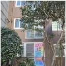 퍼즐국어학원 | 부산국어 부산 미송국어 학원을 직접 겪어본 생생 후기