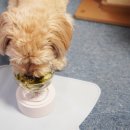 오대농장 이미지