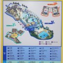 경가농장 | 알펜시아리조트 숙박후기&amp;알파인코스터&amp;오션700&amp;동물농장