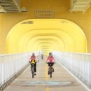 블루마린 이미지