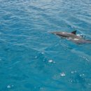 로얄룸클럽 이미지