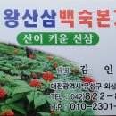 대왕산삼백숙본가 이미지