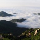 한려상사 Daum카페