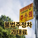주정차 단속 - 001 이미지