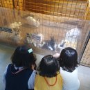 (주) 정글스토리 | 공주 실내동물원 노라쥬 정말 좋아하네~