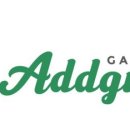 (원데이) 그린 플랜트 이미지