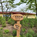 있다? 네, 저희입니다^^ (코리코 카페, 도토리숲 기념품샵, 산방산 유채꽃, 제주 돈글래, 화순 주민상회)