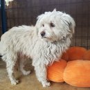 송산2길 이미지