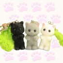 행운냥이 이미지