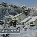 한계령오색펜션 | [양양 애견동반 펜션 ] 한계령오색펜션 반려동물과 자연 속 휴식 공간
