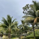 신깜언 | 리조트 푸꾸옥 #2] 베트남 푸꾸옥 가성비 숙소 내돈내산 이용 후기! (야외 수영장, 키즈풀, 이용 시간)